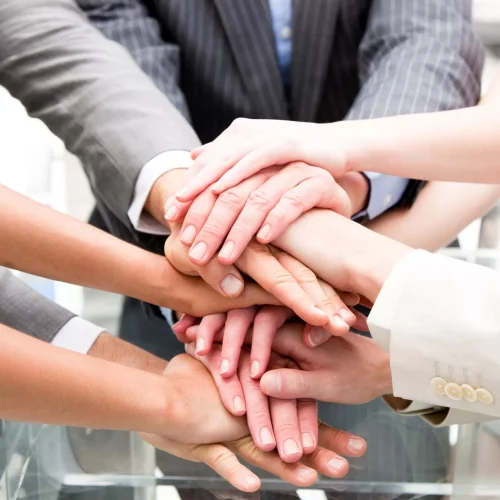 Special Economic Zone (SEZ) Consulting